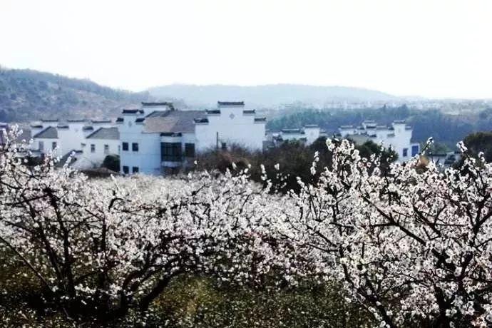 探索心灵的李敖一生骂人无数,甚至因为臭脾气多次入狱,他为什么这么“狂”?天涯问答平台
